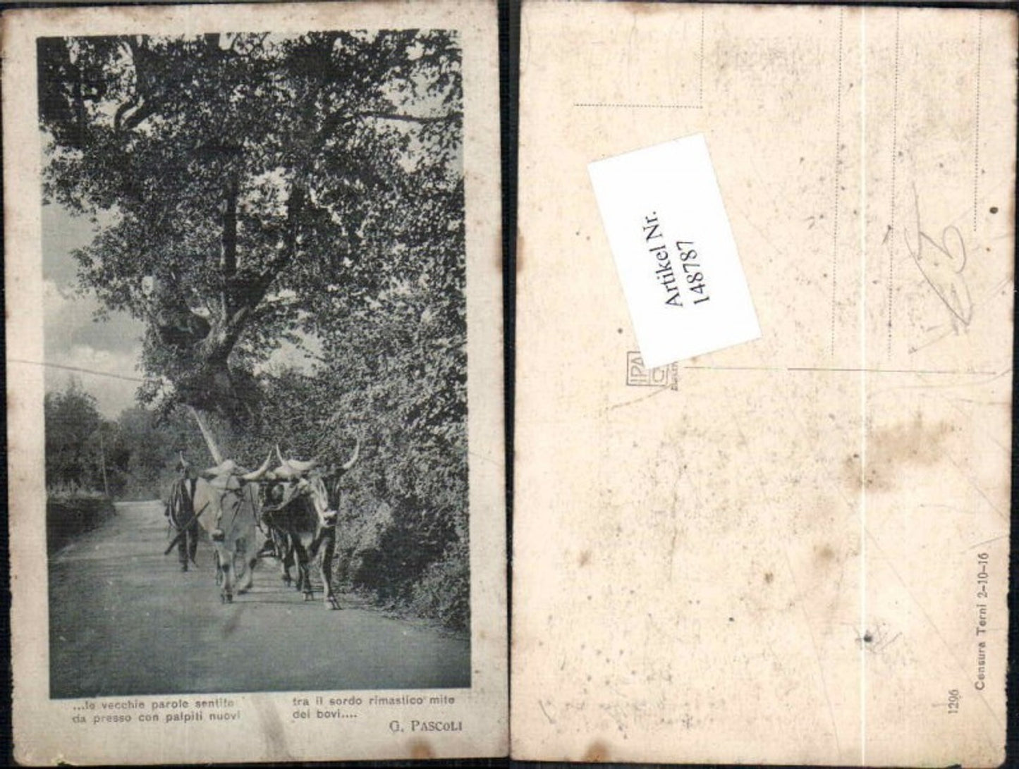 148787,Ochsen Stier Bauern G. Pascoli