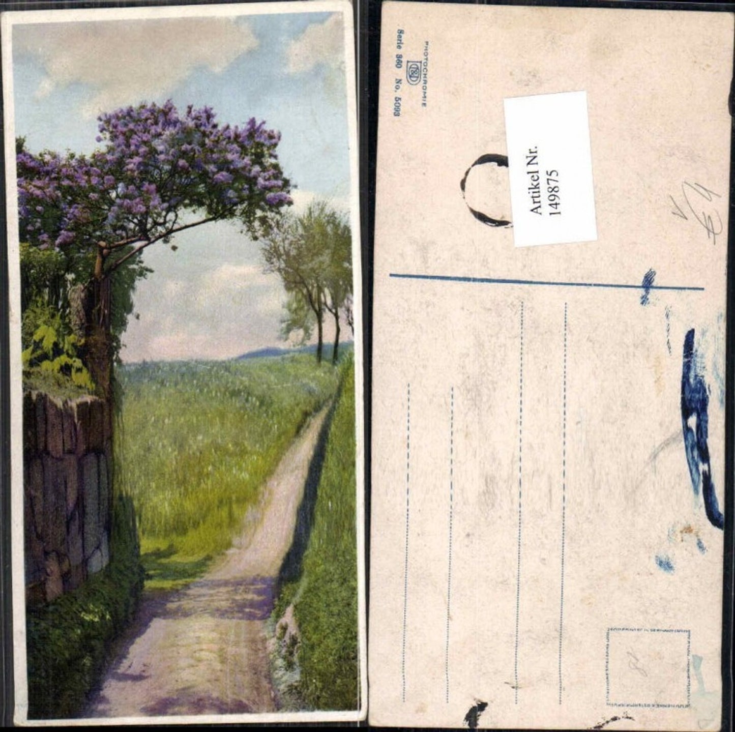 149875,Photochromie Nenke Ostermaier 360-5093 Flieder Strauch Weg
