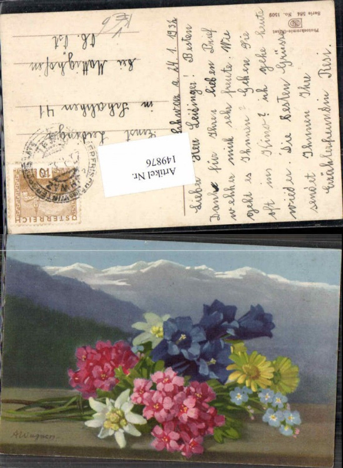 149876,Photochromie Nenke Ostermaier 584-1509 A. Wagner Blumen Edelweiss