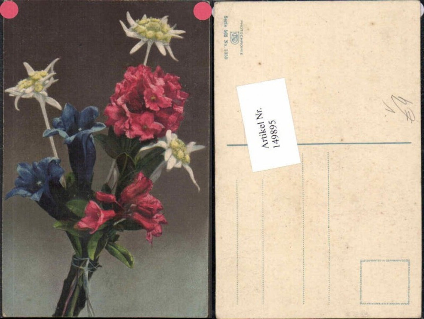 149895,Photochromie Nenke Ostermaier 562-1359 Blumen Edelweiss Blumen