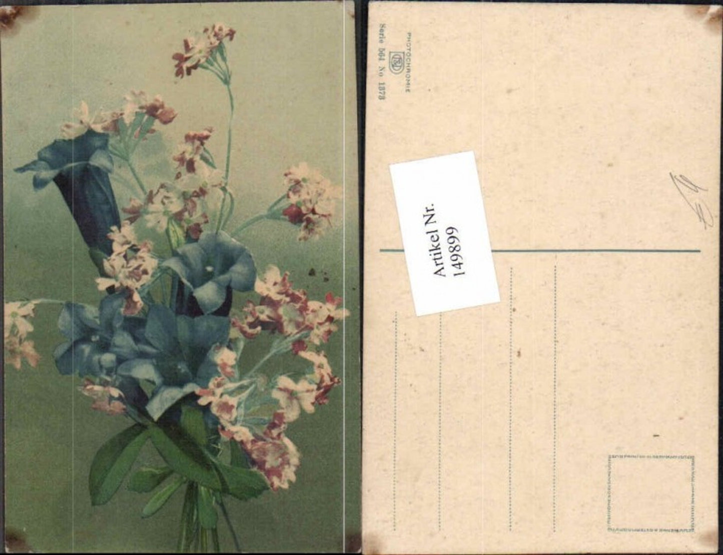 149899,Photochromie Nenke Ostermaier 564-1373 Blumen