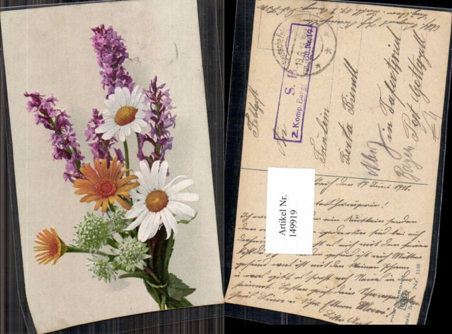 149919,Photochromie Nenke Ostermaier 543-1168 Blumen Gänseblümchen