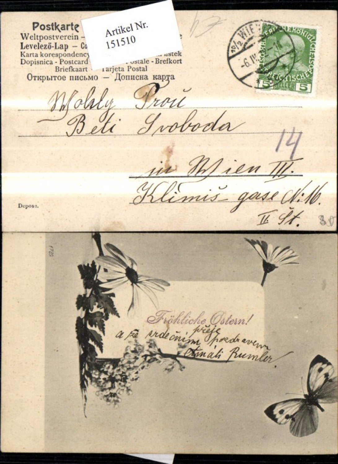 151510, Easter Flowers Butterfly