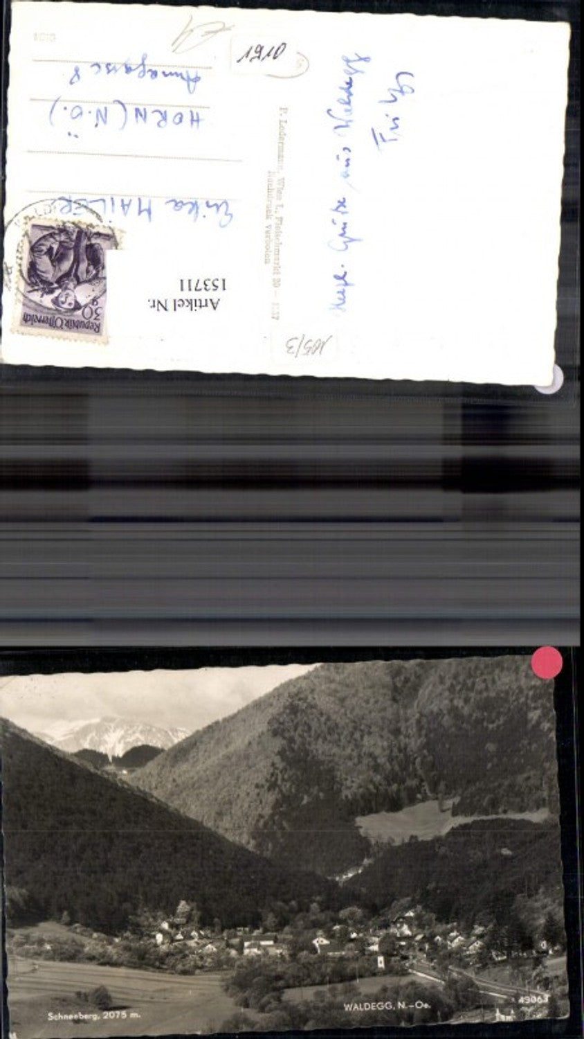 153711,Waldegg Totale m. Schneeberg