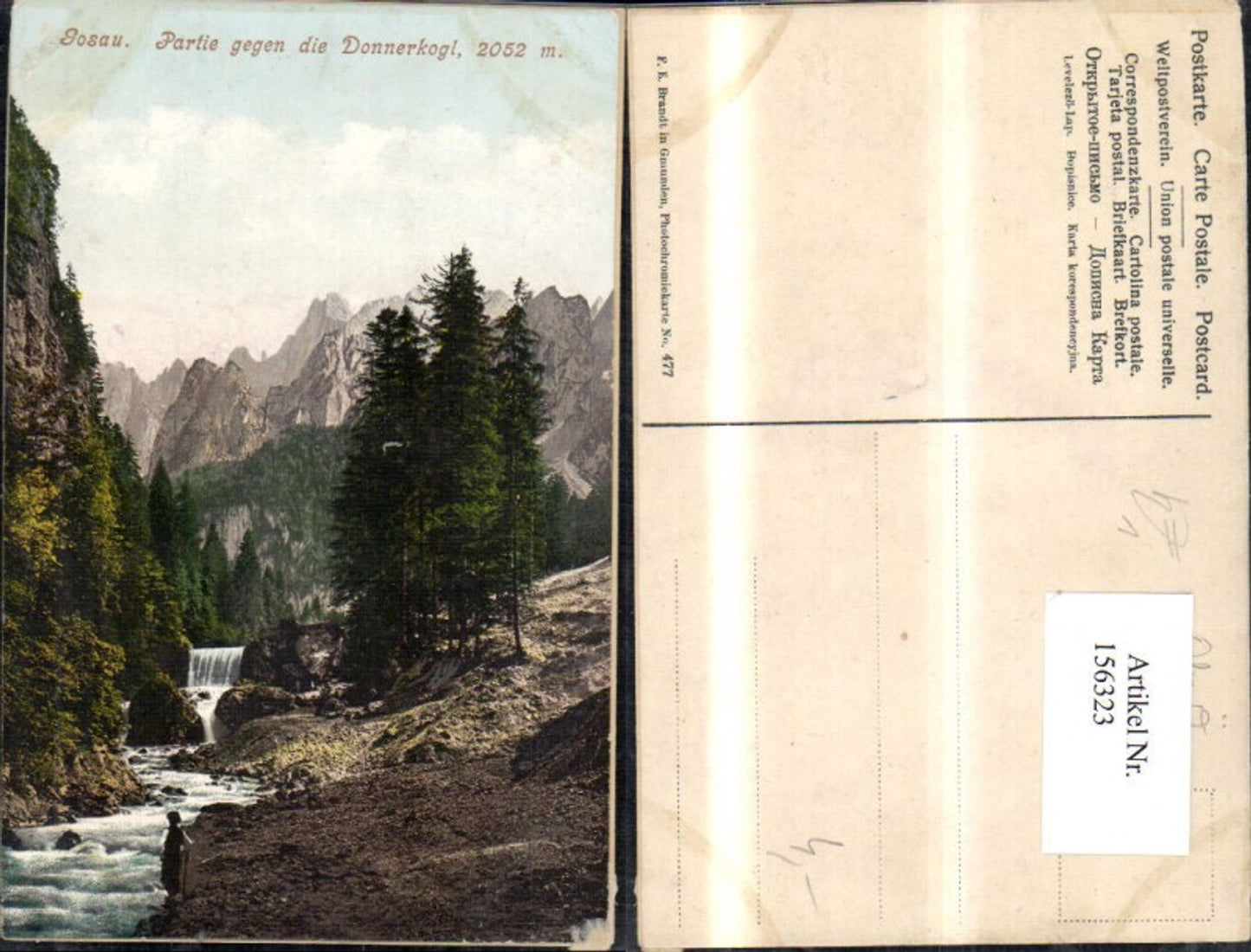 156323,Gosau Partie geg. d. Donnerkogl pub F E Brandt 477