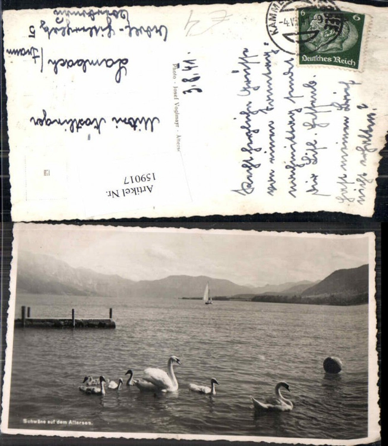 159017,Schwäne am Attersee Seewalchen