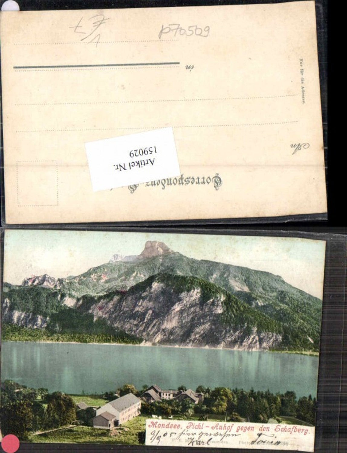 159029,Mondsee Pichl Auhof geg. Schafberg Brandt 196
