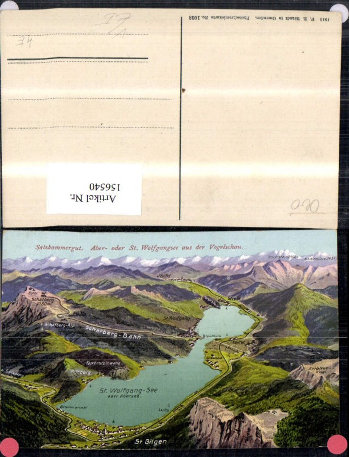 156540,Aber oder St Wolfgangsee a. d. Vogelschau Salzkammergut Lagekarte pub F E Brandt 1038