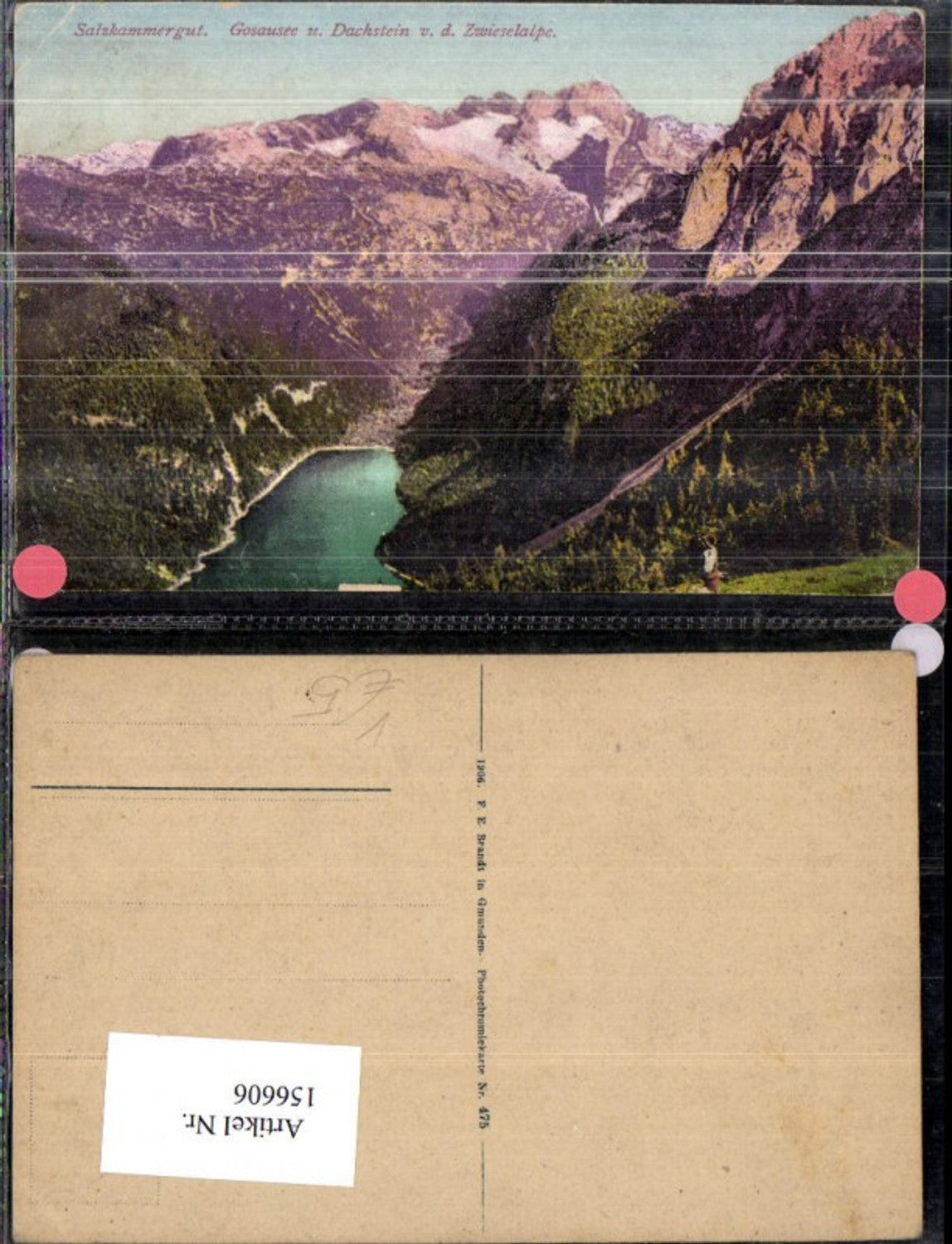 156606,Gosausee u. Dachstein v. d. Zwieselalpe Salzkammergut Gosau pub F E Brandt 475