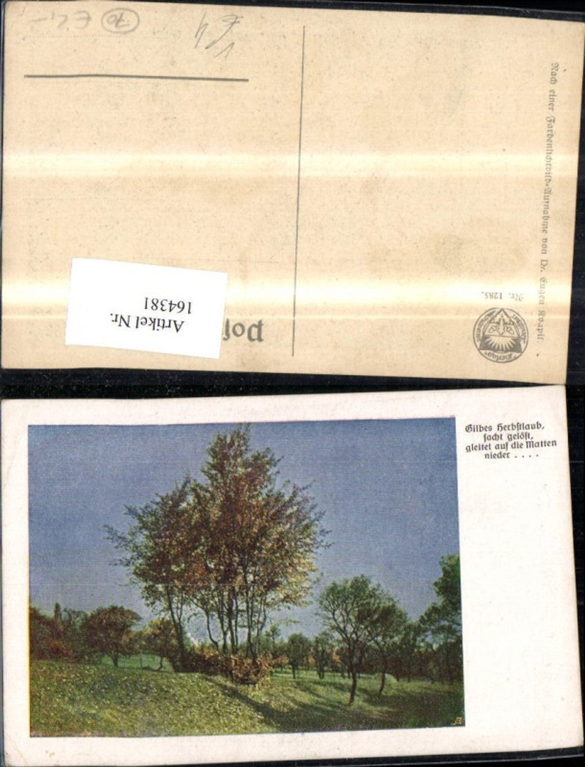 164381,Dt Schulverein 1285 Baum i. Herbst m. Spruch