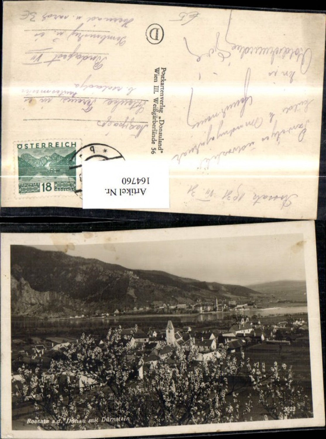 164760,Rossatz a. d. Donau m. Dürnstein Ansicht m. Baumblüte 1931