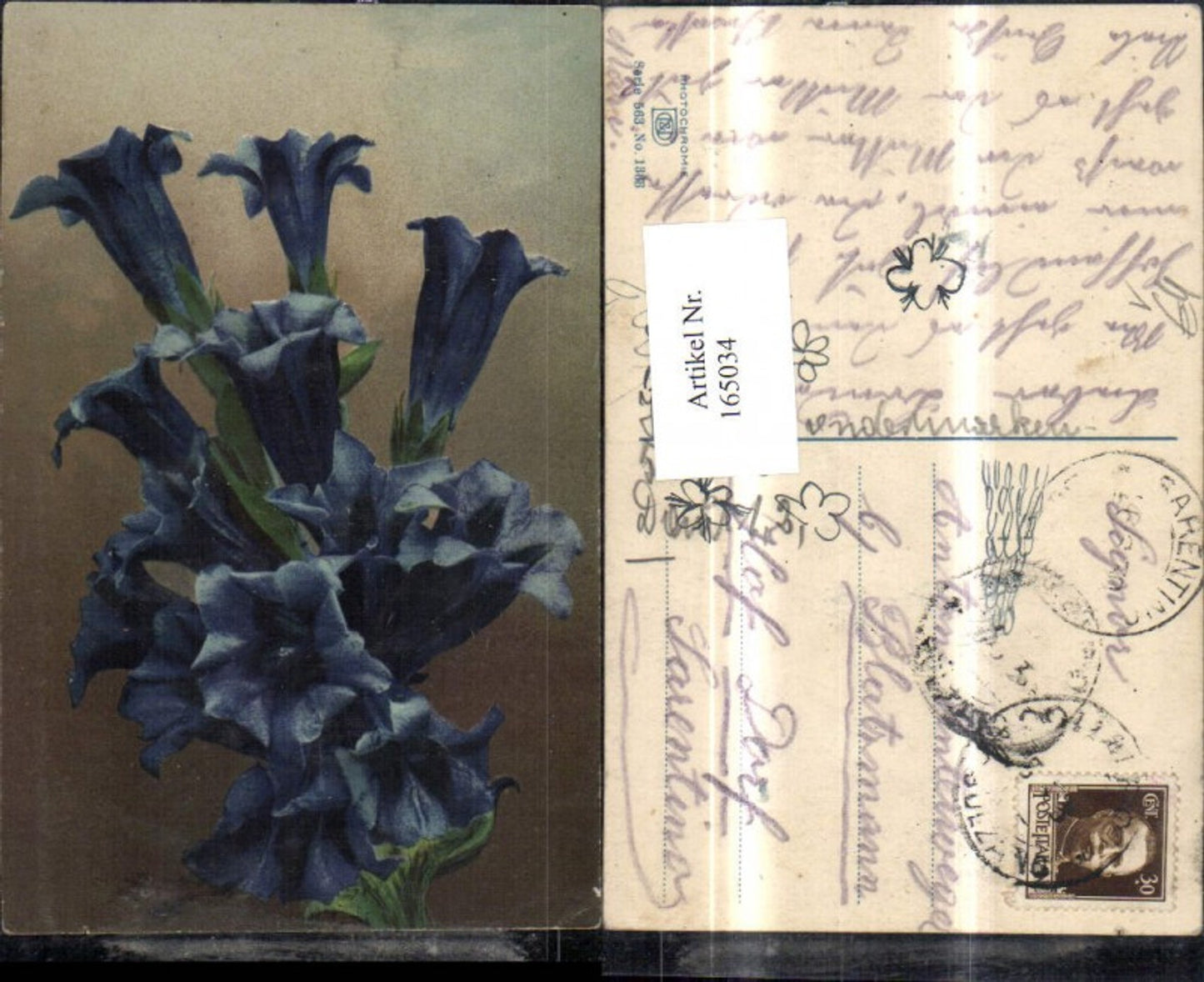 165034,Photochromie Nenke & Ostermaier 563/1366 Enzian Blume