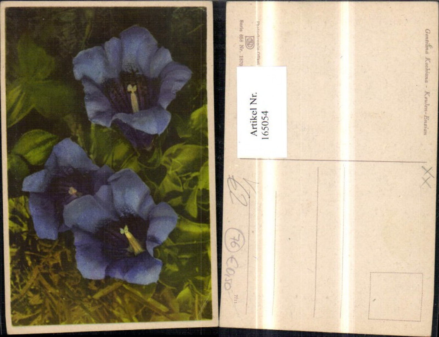 165054,Photochromie Nenke & Ostermaier 658/1870 Keulen Enzian Blume