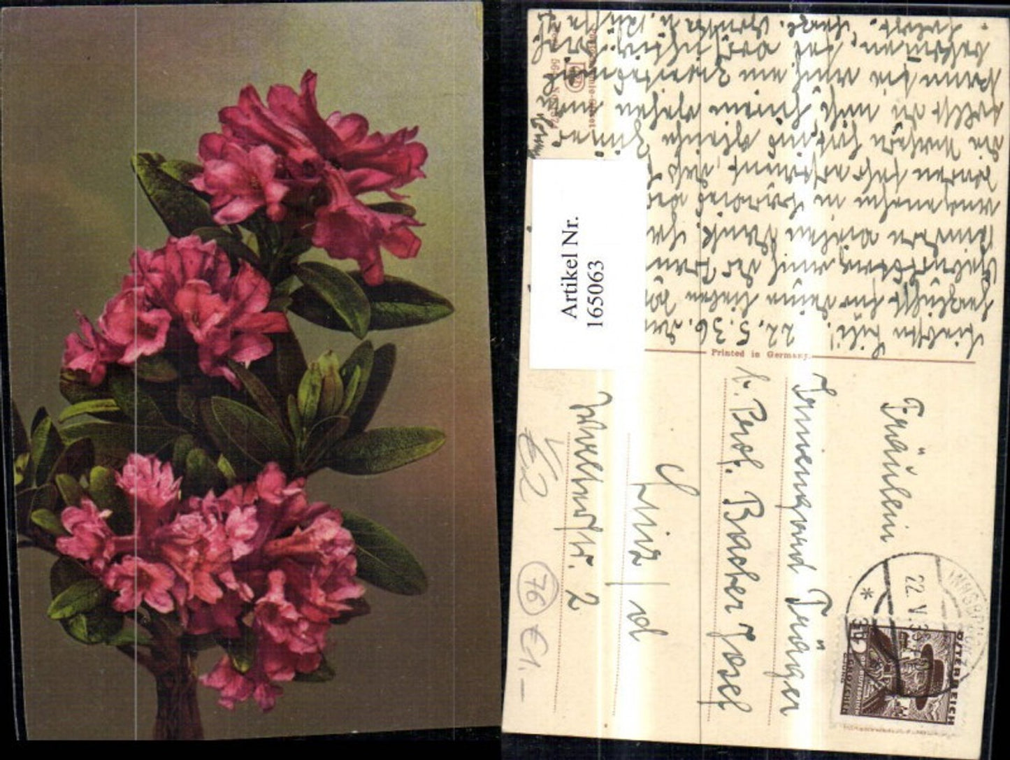 165063, Photochromie Nenke & Ostermaier 564/1374 Flowers Branch Blossom Branch