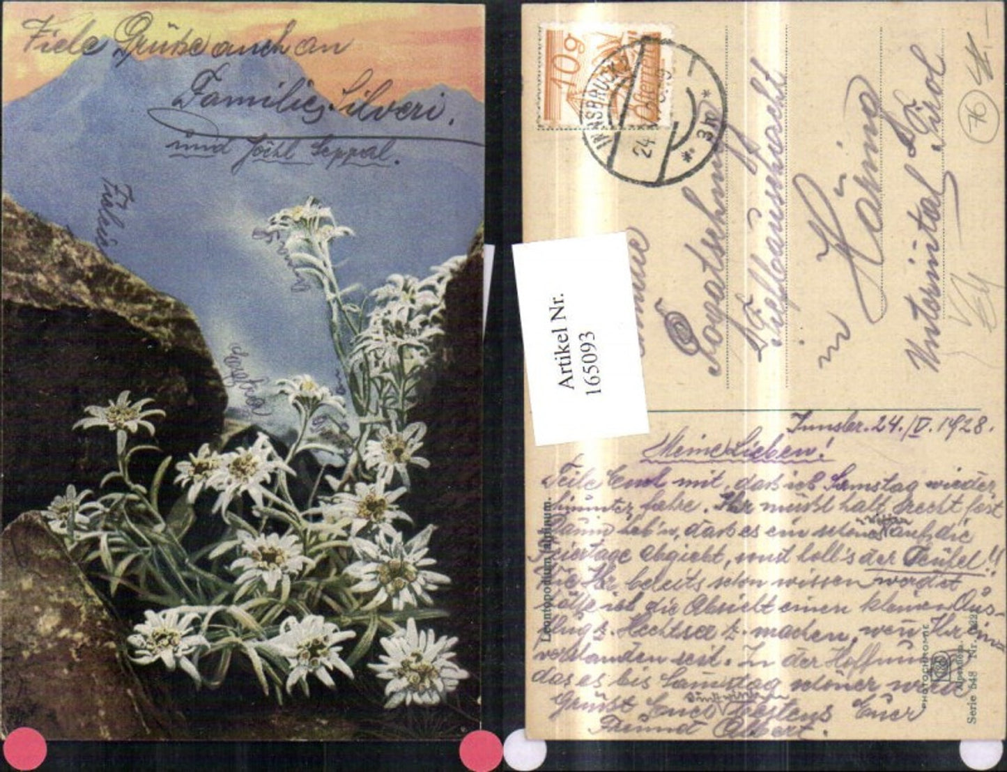 165093,Photochromie Nenke & Ostermaier 548/1221 Edelweiß Steine Felsen Gebirge