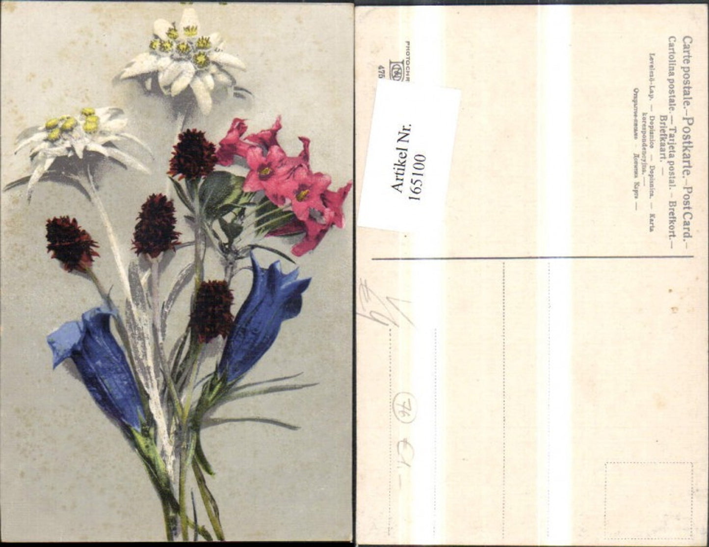 165100,Photochromie Nenke & Ostermaier 475 Blumenstrauß Blumen Enzian Edelweiß
