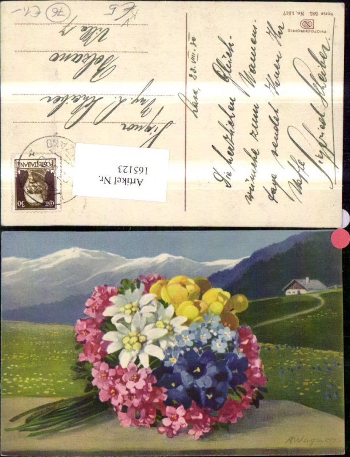 165123,Photochromie Nenke & Ostermaier 585/1517 Blumenstrauß Blumen Hof Haus Wiese Berglandschaft