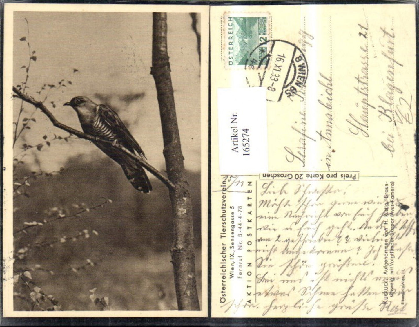 165274,Österreichischer Tierschutzverein Kuckuck a. Ast Baum