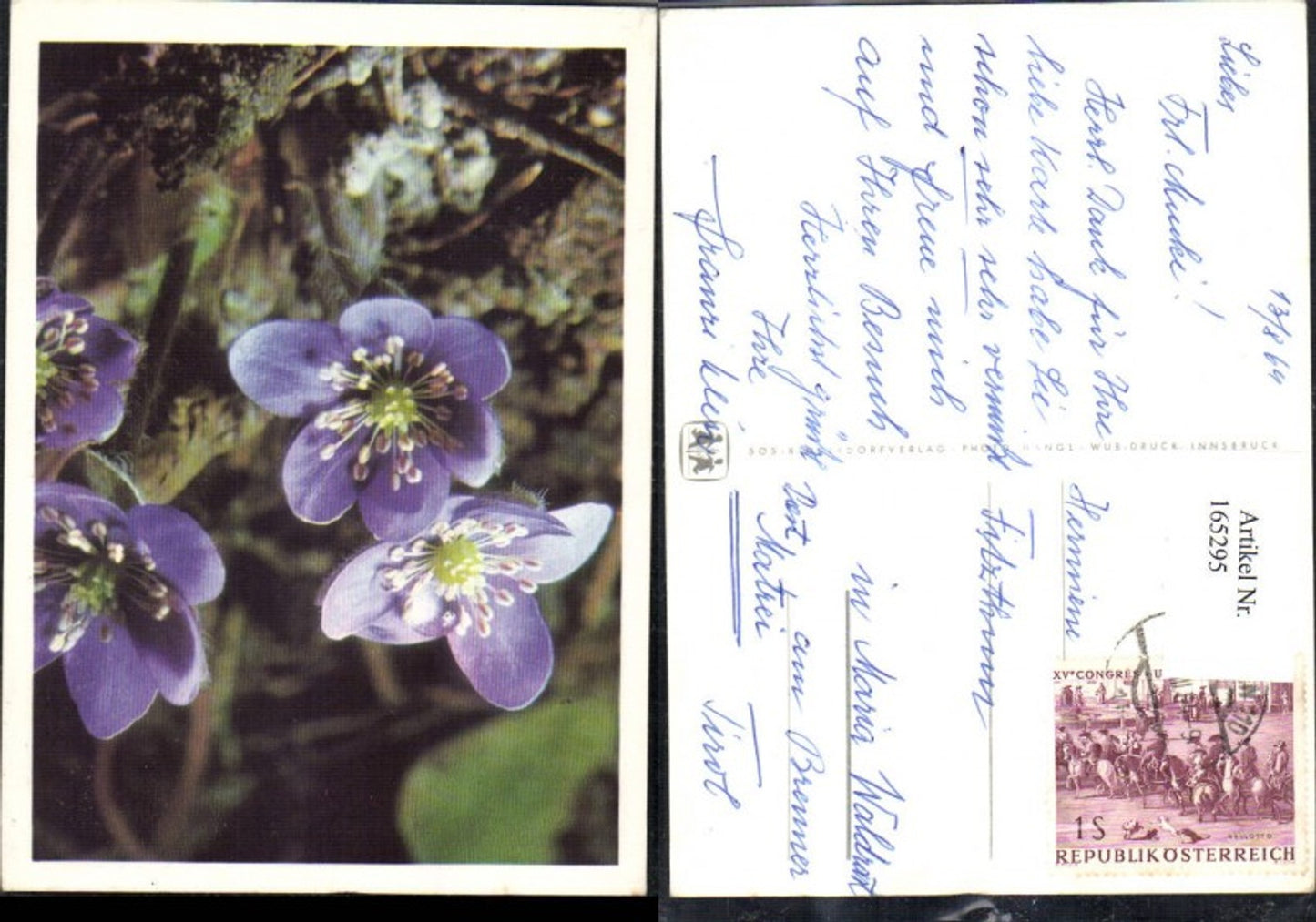 165295, SOS Children's Village Flowers