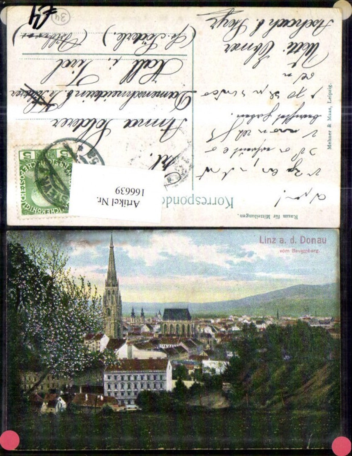 166639,Linz v. Bauernberg