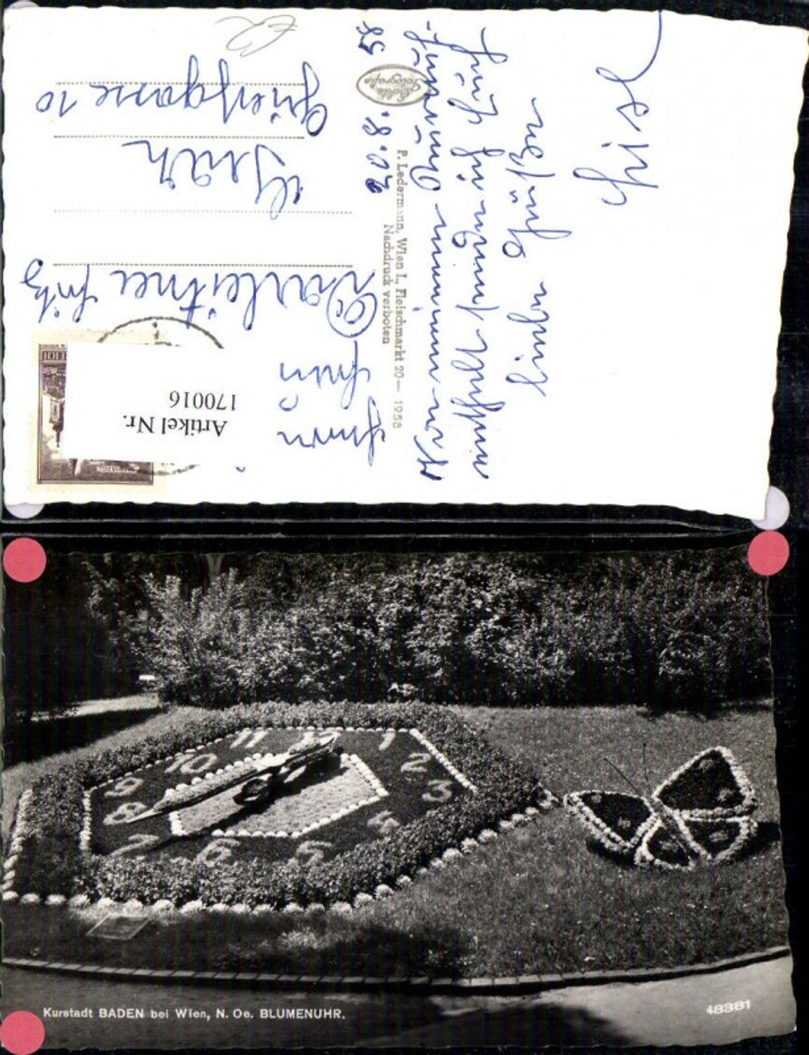 170016,Baden b. Wien Kurpark Blumenuhr 1958