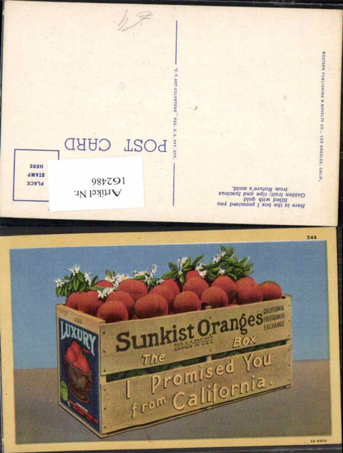 162486,California Orangen Sunkist Reklame AK