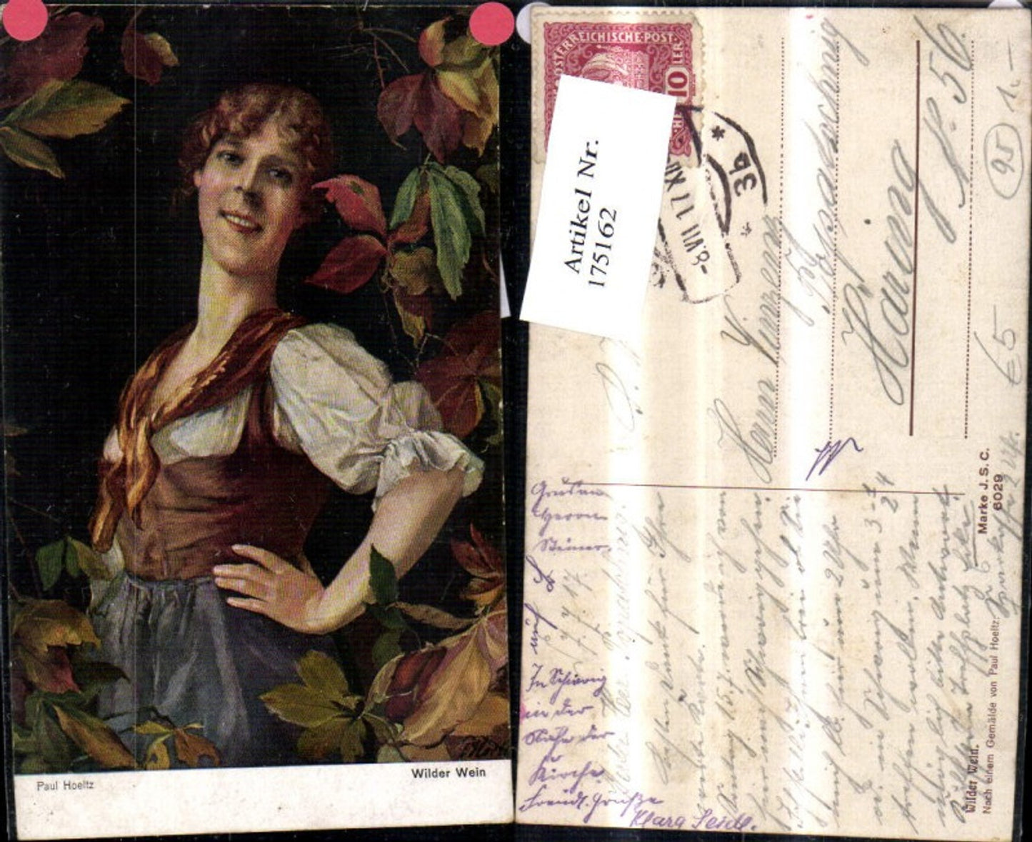175162, Artist Ak Paul Hoeltz Wild Vine Woman Type with Wild Vine Climbing Plant