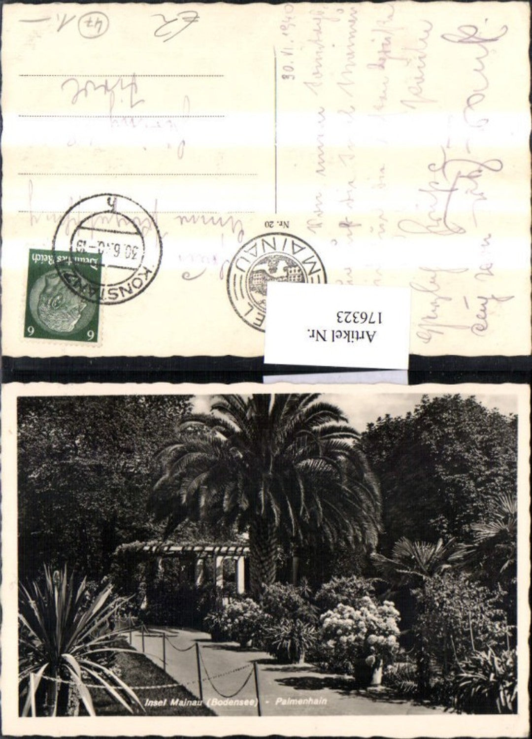 176323,Insel Mainau Bodensee Palmenhain Palmen