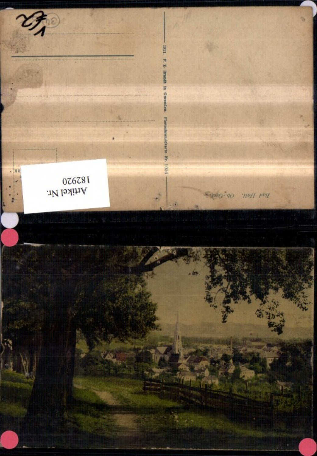 182920,Bad Hall Teilansicht pub F. E. Brandt 1054