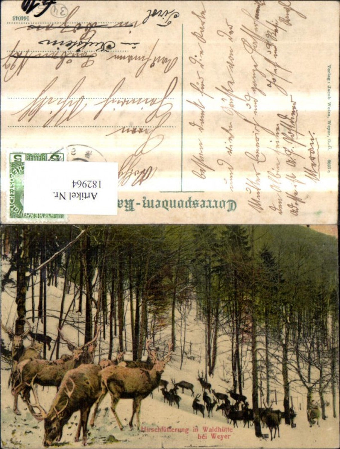 182964,Weyer a. d. Enns Wildfütterung Waldhütte Wild Reh Hirsch