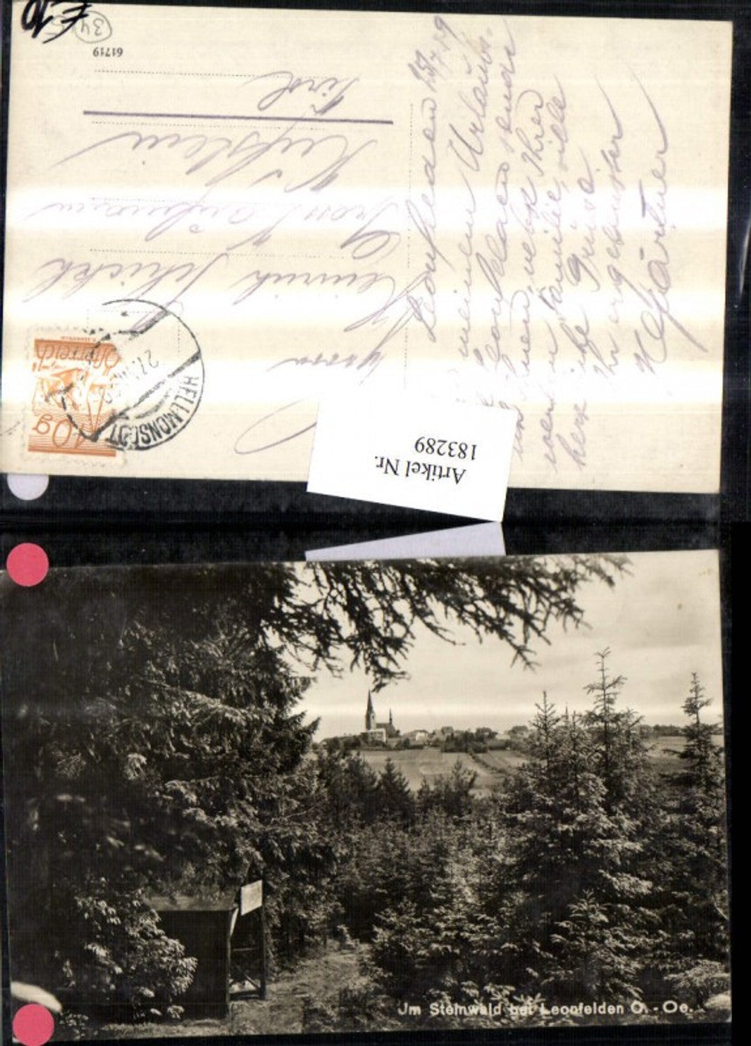 183289,Steinwald b. Leonfelden Blick auf d. Ort