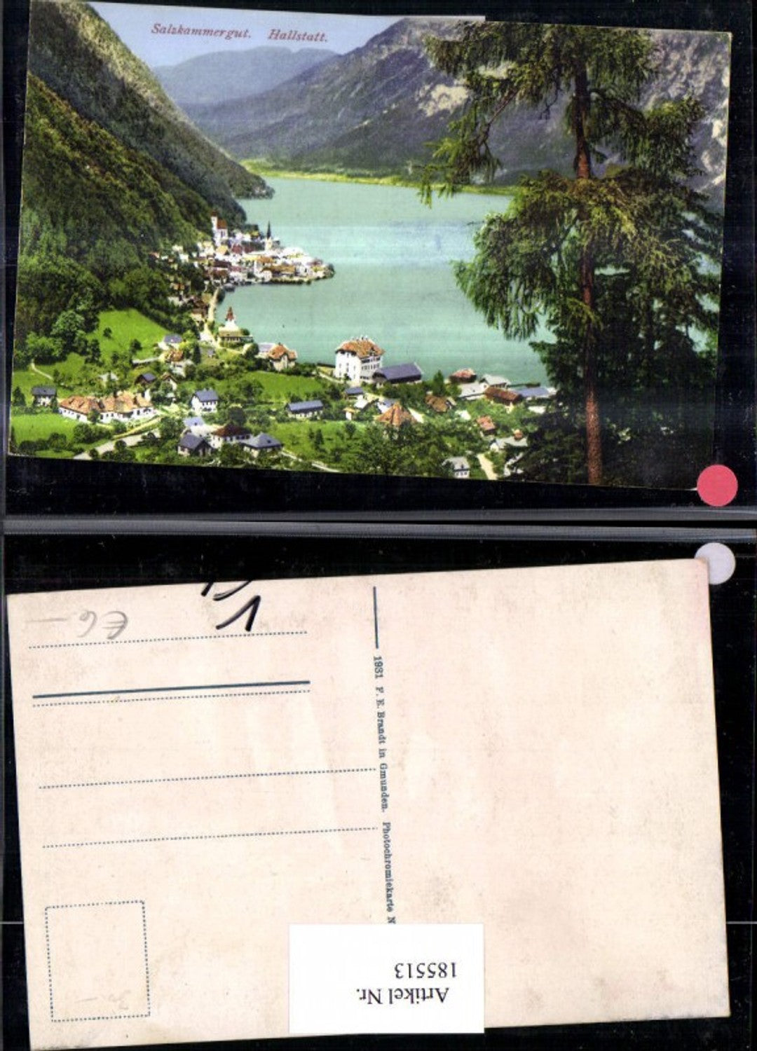 185513,Salzkammergut Hallstatt Totale pub Brandt 785