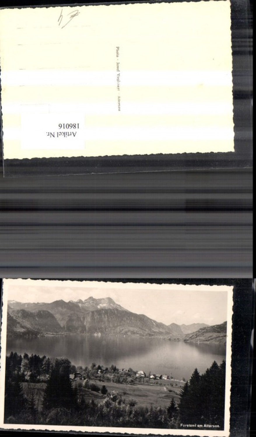 186016,Forstamt a. Attersee Photo Ak
