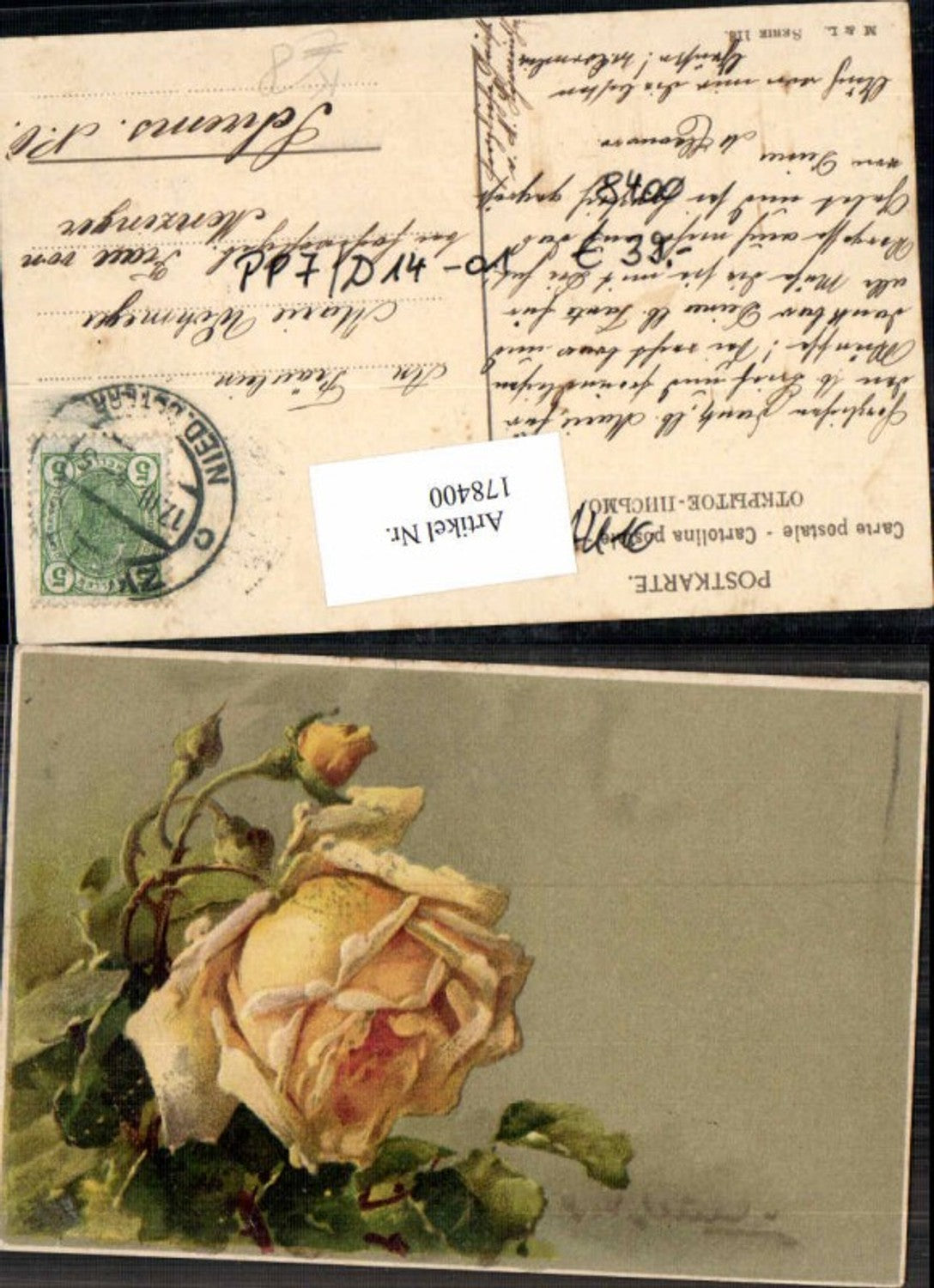 178400,Künstler AK Catharina Klein Rosen Rose Blume