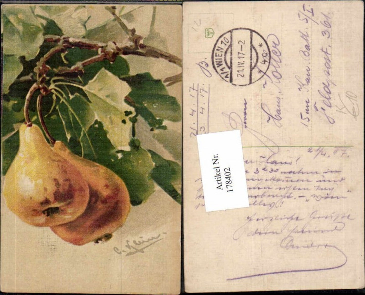 178402,Künstler AK Catharina Klein Birne Obst Früchte