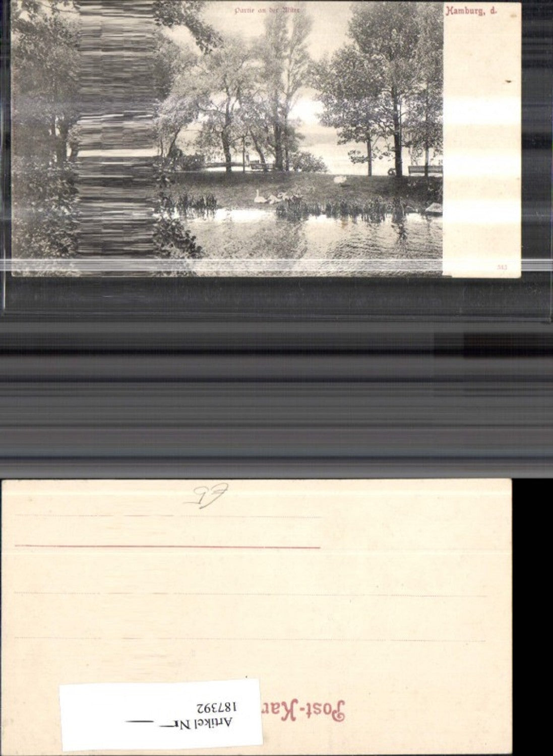 187392, Hamburg Partie ad Alster Swans