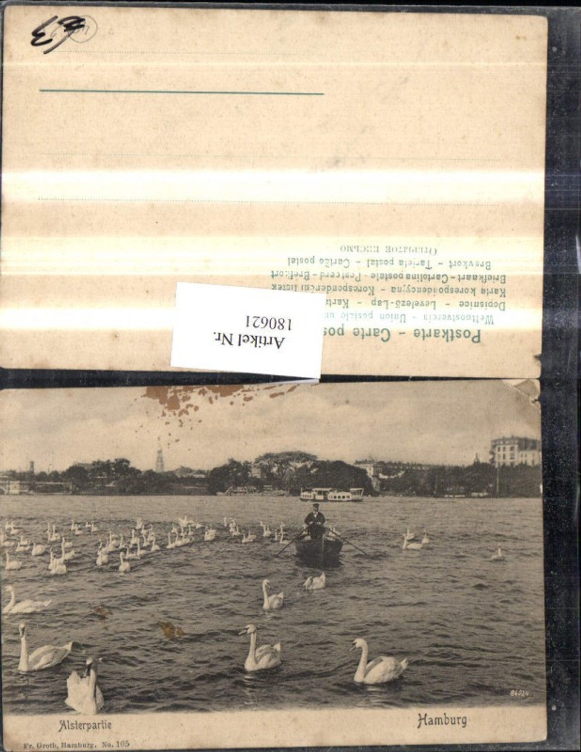 180621,Hamburg Alsterpartie Boot Schwäne