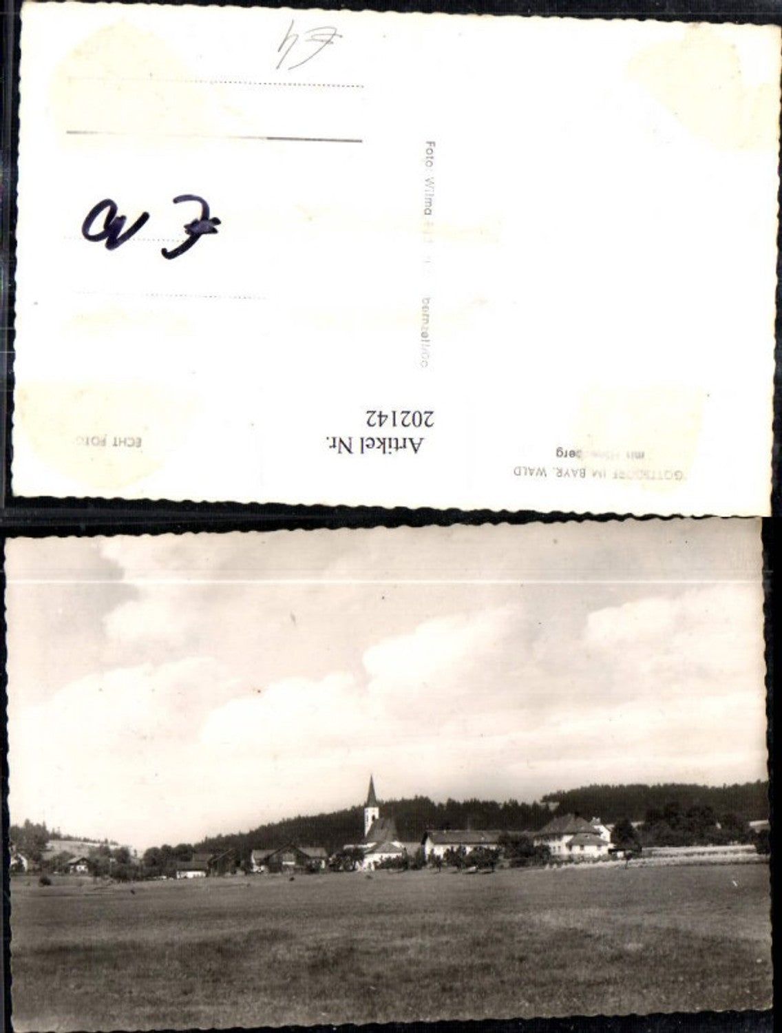 202142,Gottsdrof im Bayrischen Wald m. Höhenberg Teilansicht Kirche