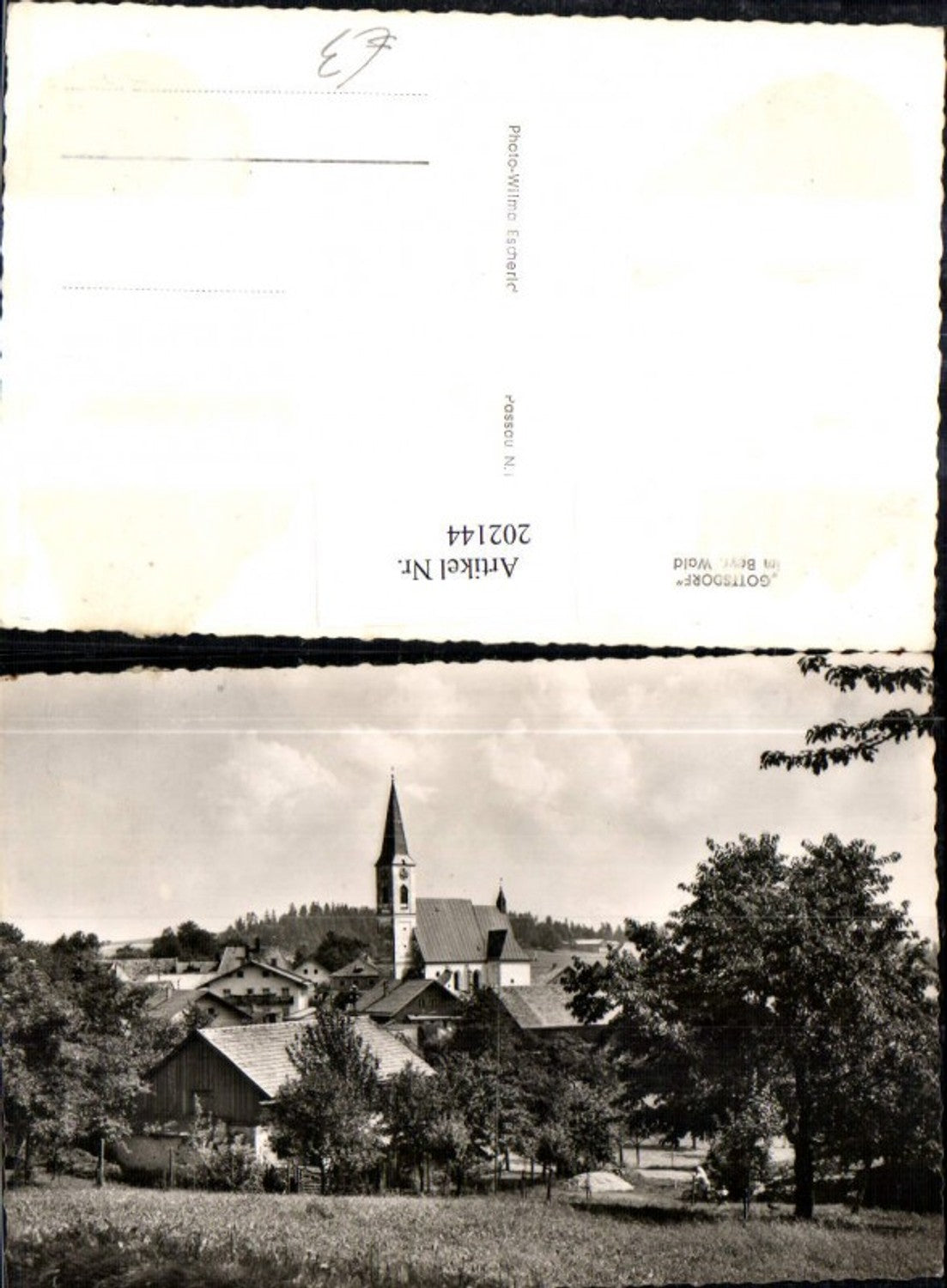 202144,Gottsdrof im Bayrischen Wald Teilansicht Kirche