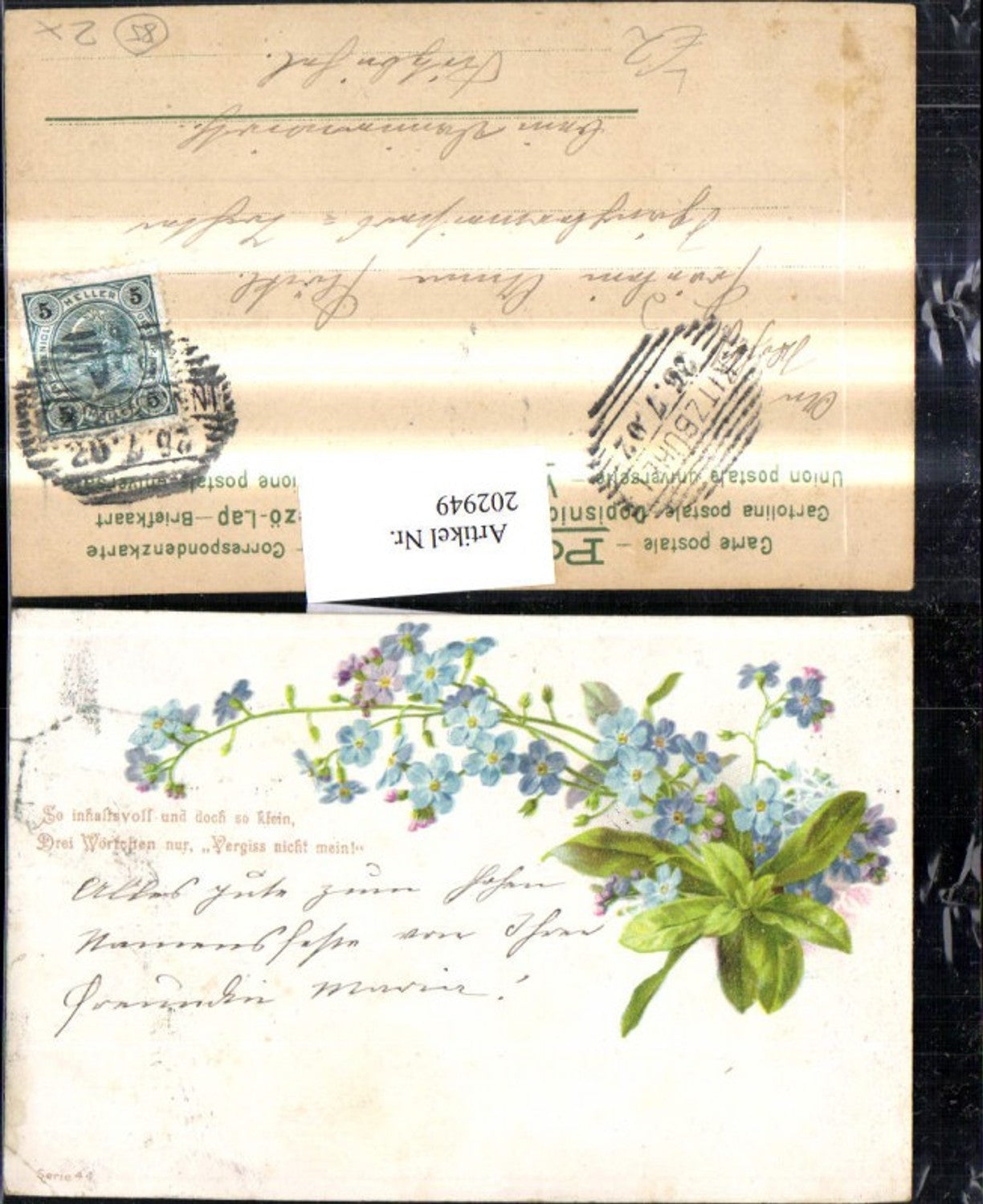 202949,Litho AK Forget-me-not flowers