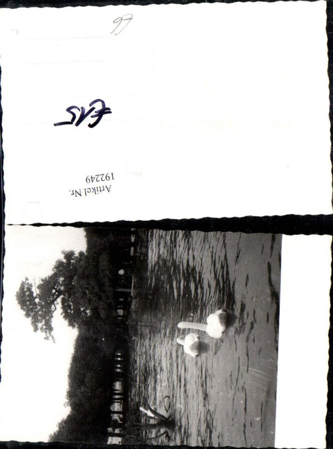 192249,Gmunden Foto Ak Hochwasser 1959 Traunsee Schwäne Statue Denkmal Kaiser Franz Josef pub F. E. Brandt