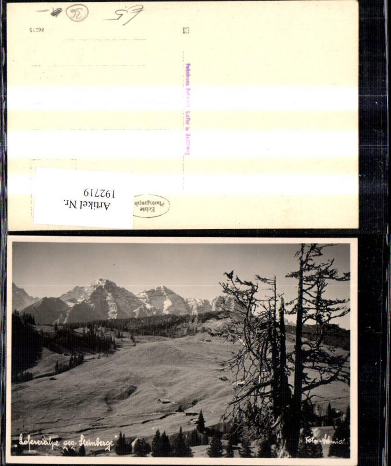 192719,Foto Ak Lofereralpe geg. Steinberge Lofer