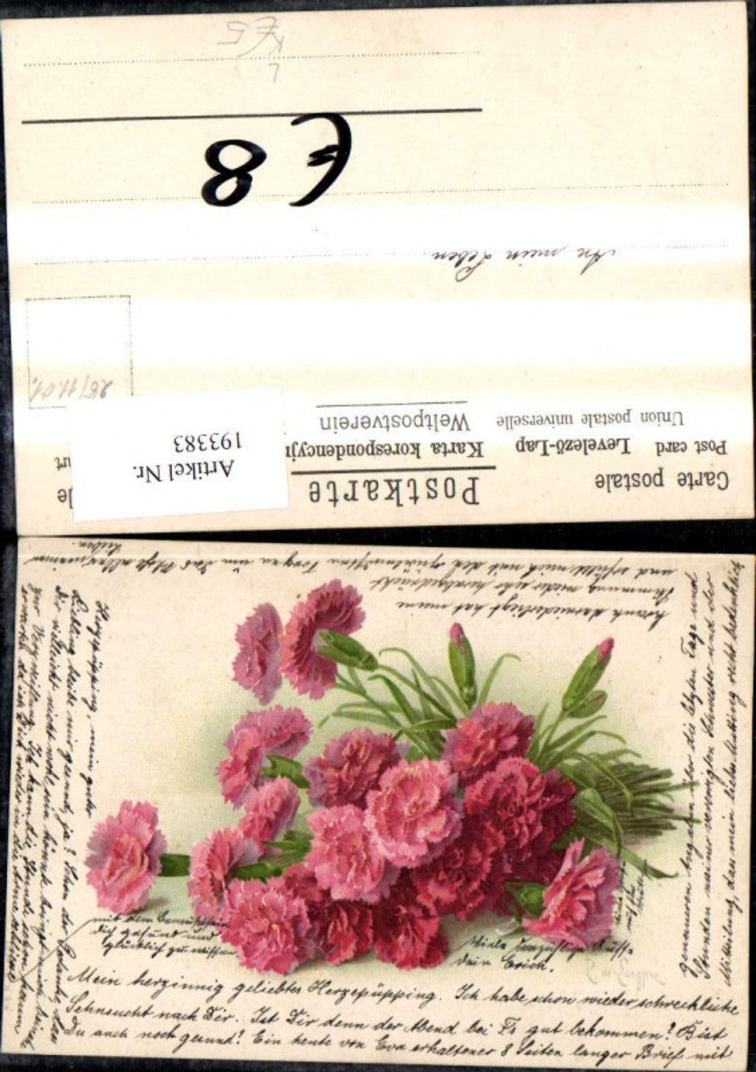 193383,Künstler Litho P. de. Songpie Nelken Blumen