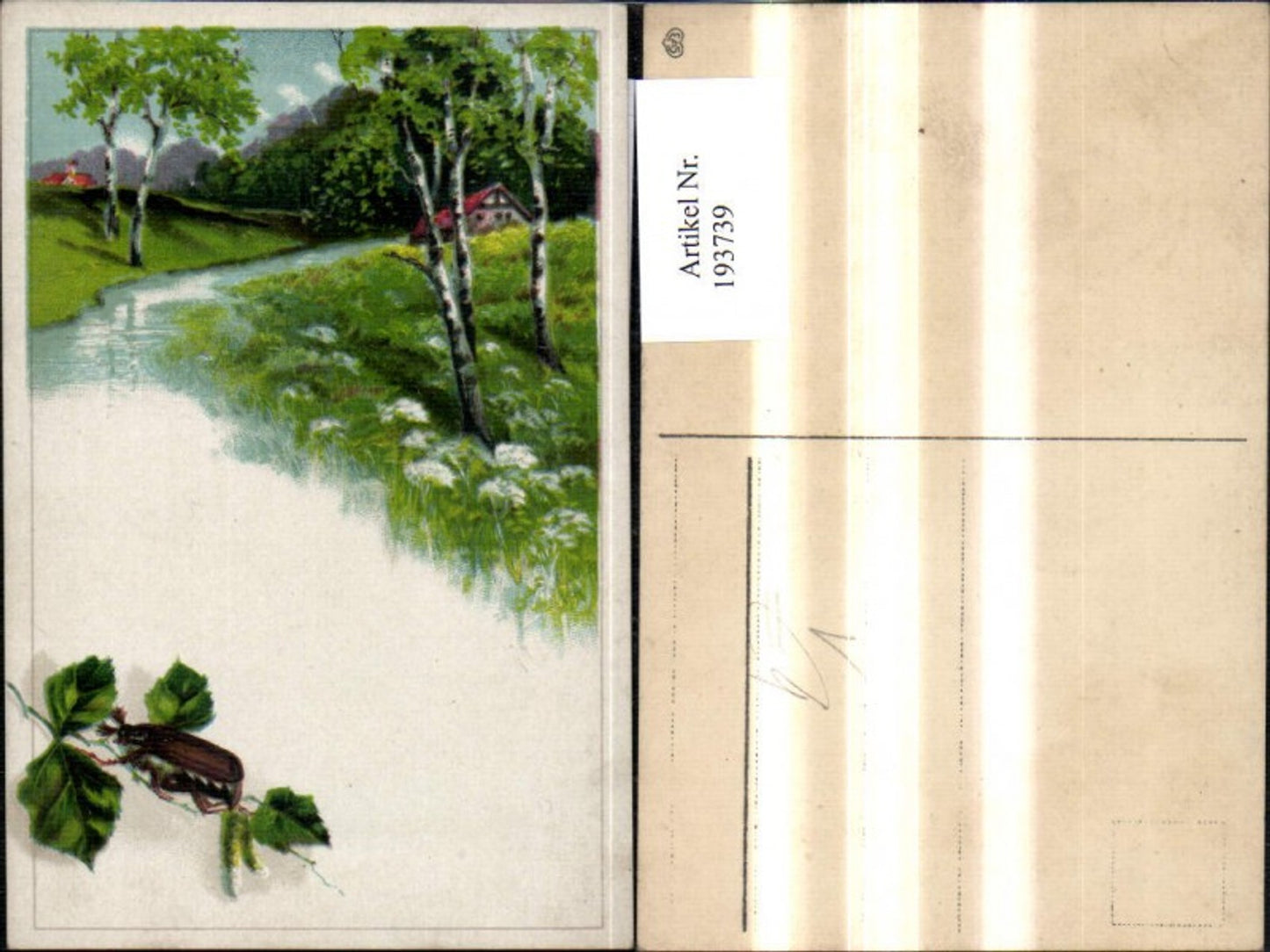 193739,Tier Maikäfer Käfer Birkenzweig Landschaft pub EAS