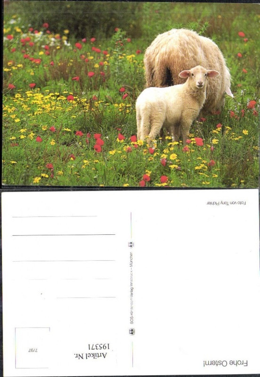 195371,SOS Kinderdorf 7/97 Frohe Ostern Schafe a. Wiese