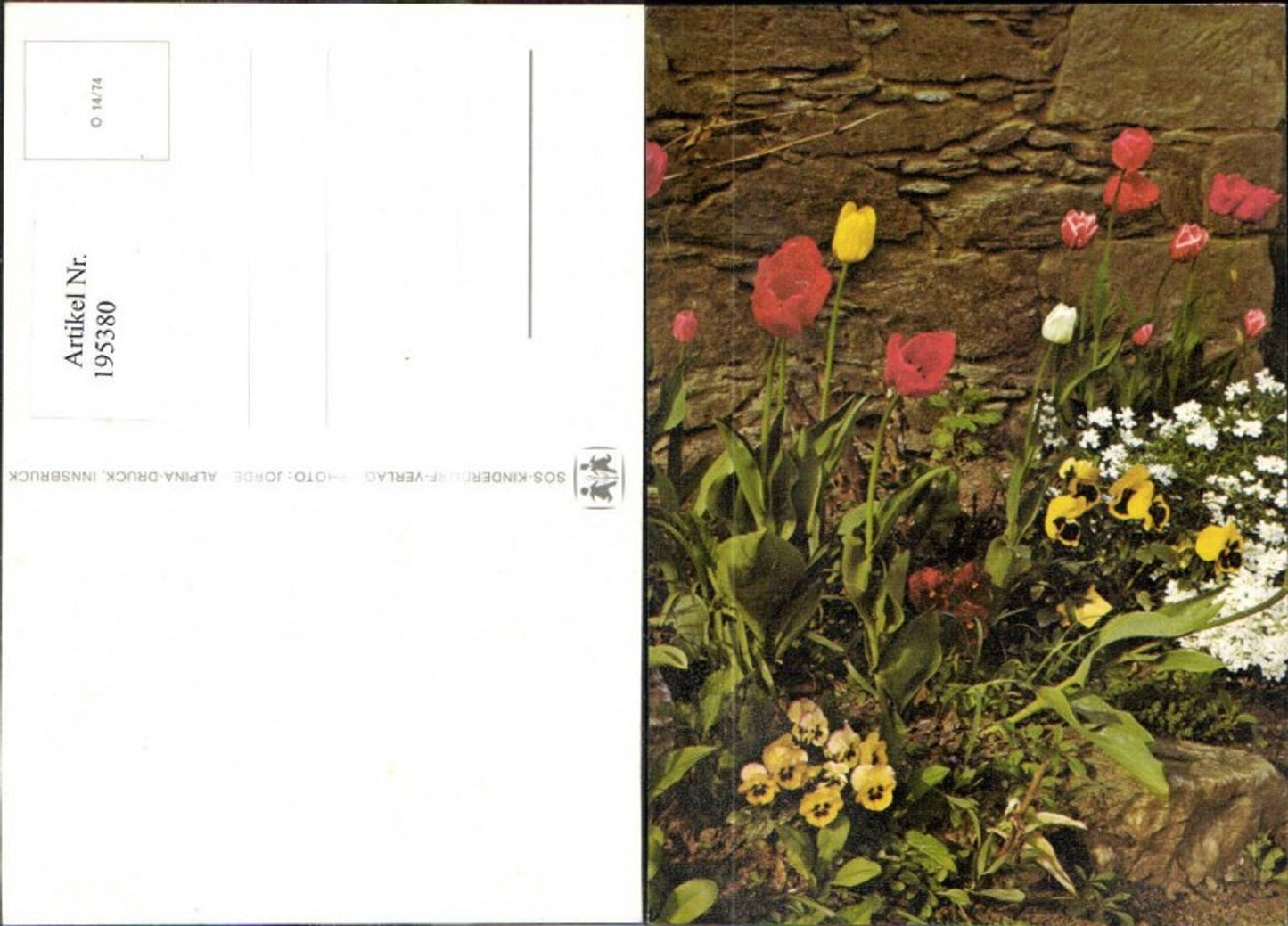 195380, SOS Children's Village O 14/74 Flowers Tulips Pansies