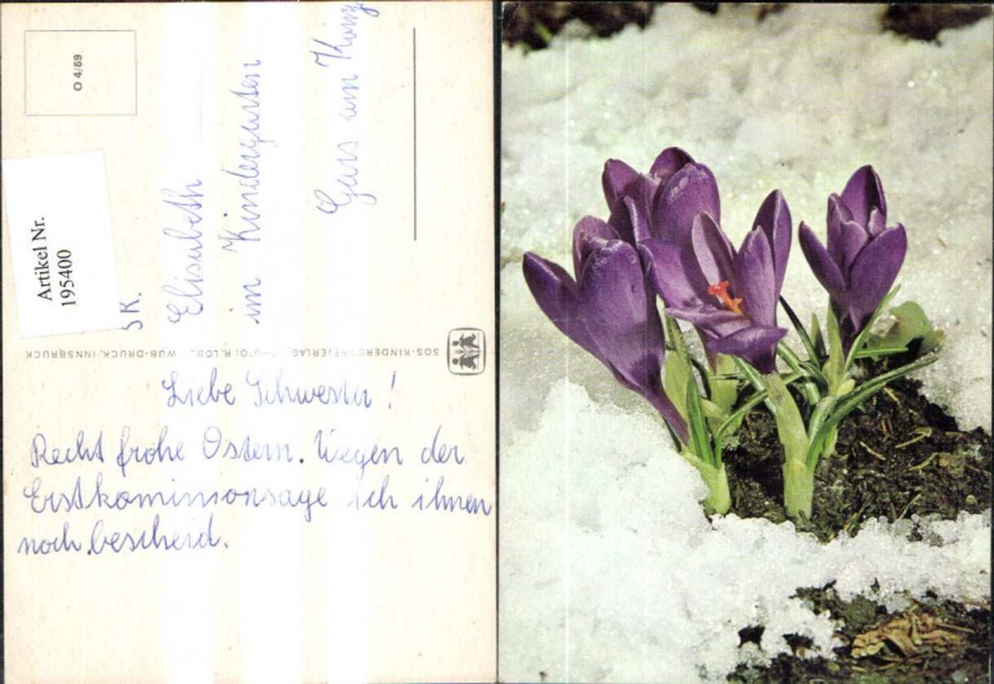 195400,SOS Children's Village O 4/69 Crocus in the Snow