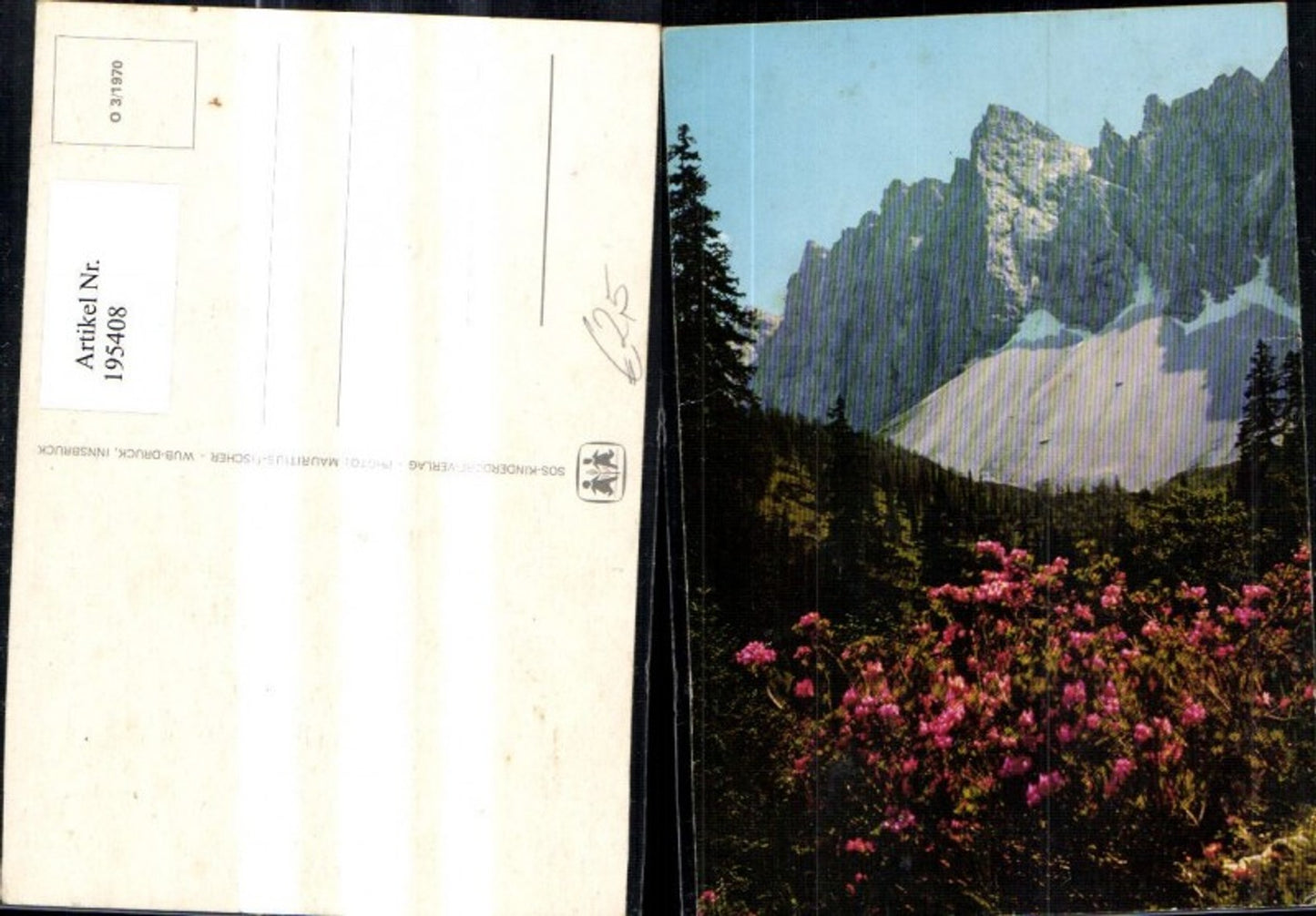 195408, SOS Children's Village O 3/1970 Flowering shrubs against a mountain backdrop