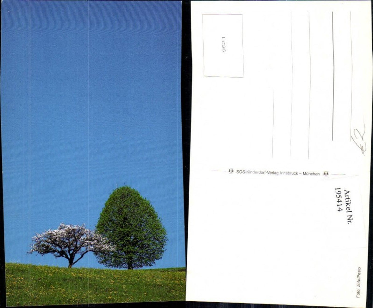 195414,SOS Kinderdorf 9521 Bäume Wiese Blumenwiese