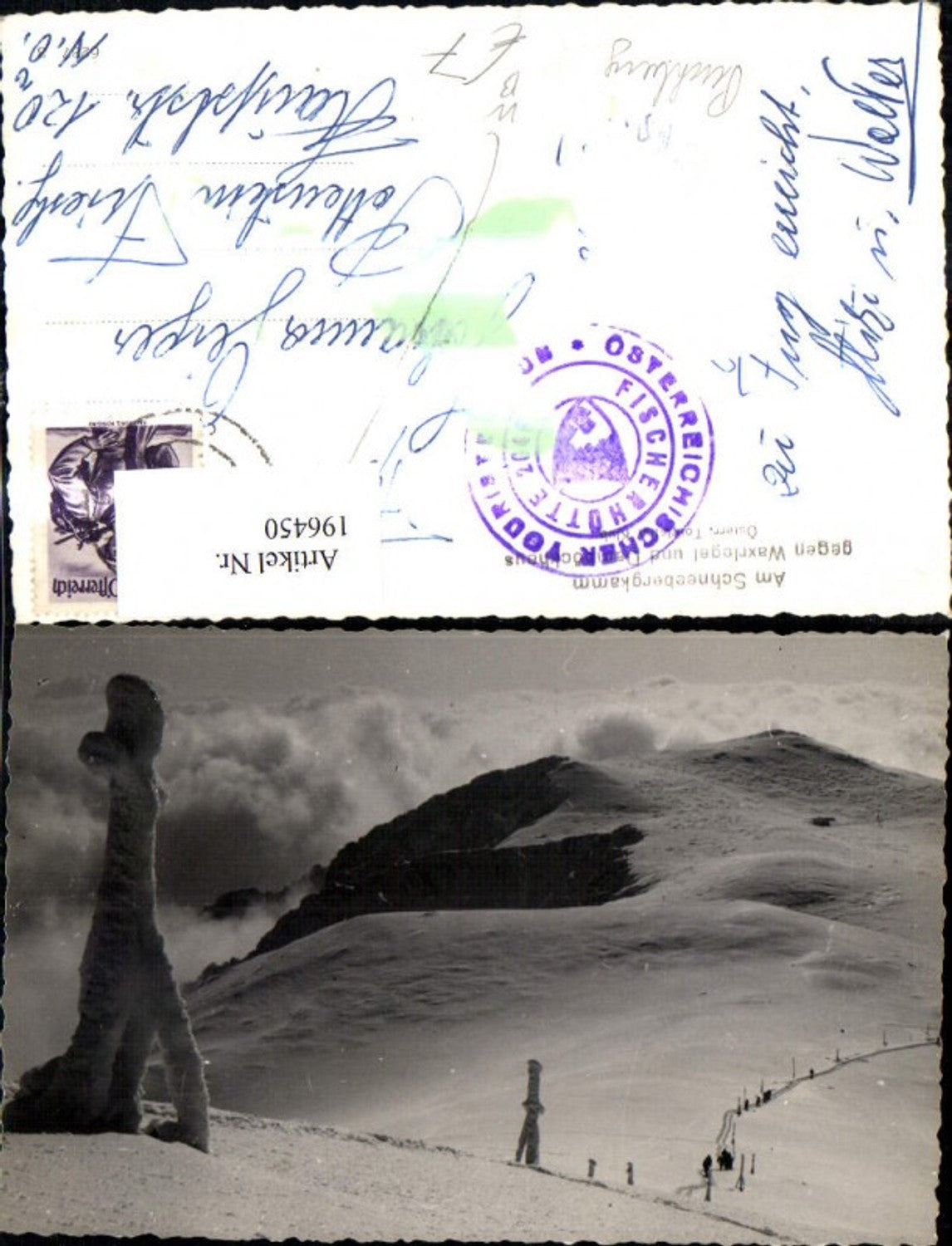 196450,Am Schneebergkamm geg. Waxlegel u. Damböckhaus b. Puchberg Winterbild